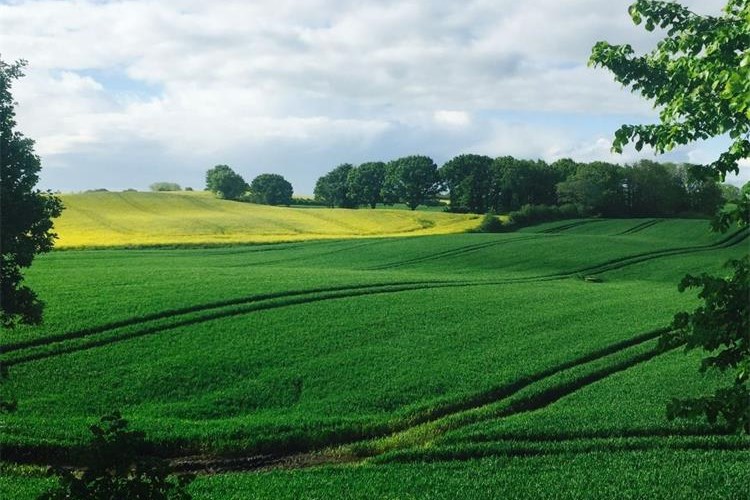 Slika /slike/Priopcenja/Foto_NOVO PRIOPĆENJA/Poljoprivreda/ef45hg54hwegf (107).jpg